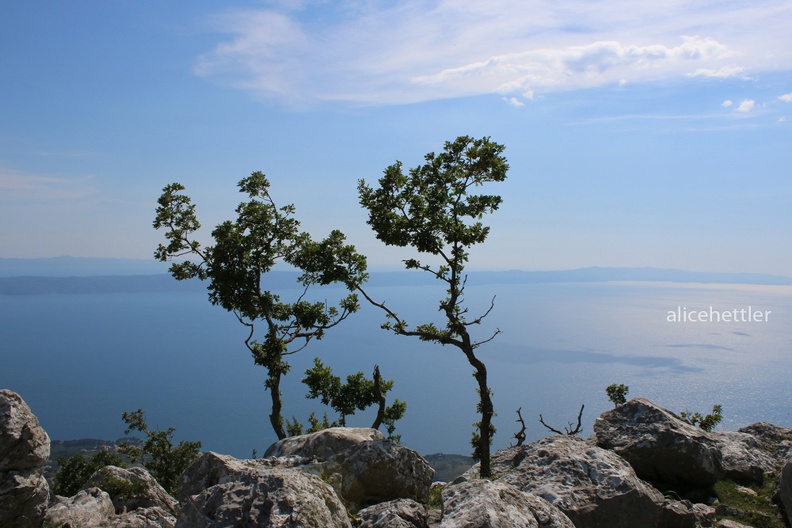 Dalmatische Küste - Dalmatian Coast
Foto: Alice Eickenscheidt
Ort: Naturpark Biokovo, Kroatien
Kamera: Canon EOS 70 D, EFS 18-55 mm Dalmatische K__ste 5.jpg